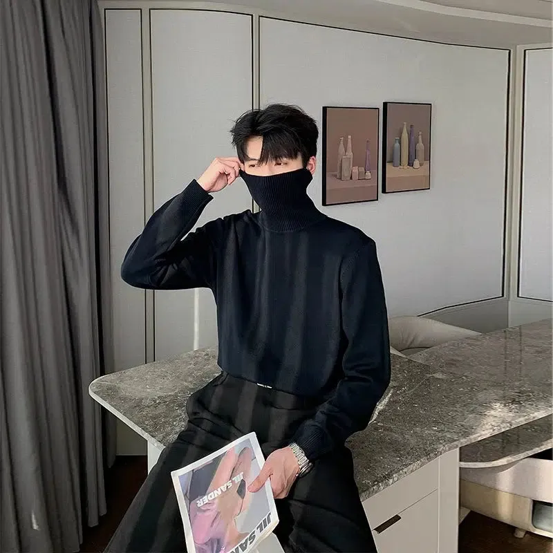 Basic Turtleneck Sweater