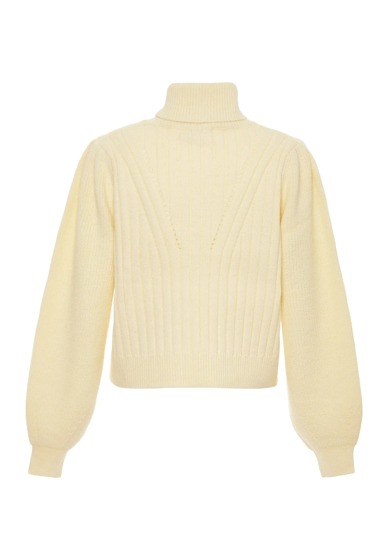 Blonda Women's Turtleneck Sweater