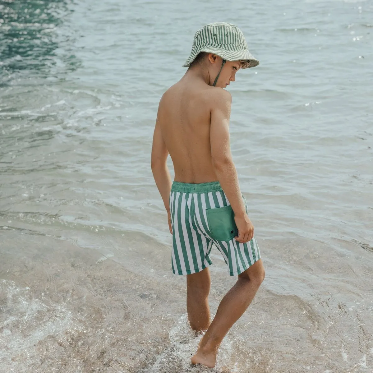 Board Short Coastal Stripe