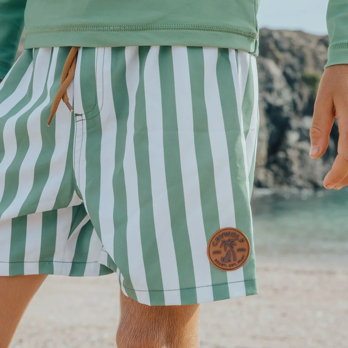 Board Short Coastal Stripe