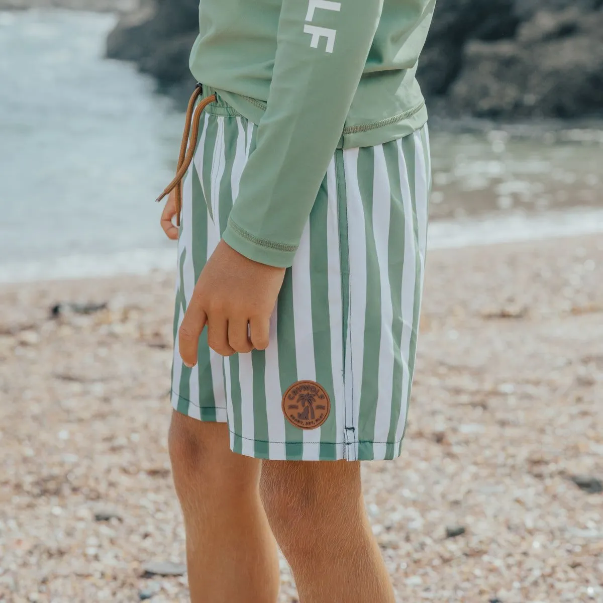 Board Short Coastal Stripe
