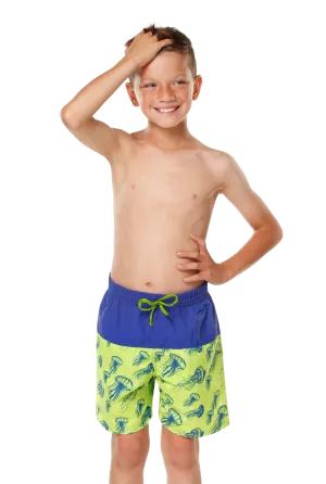 Boy's Board Swim Shorts
