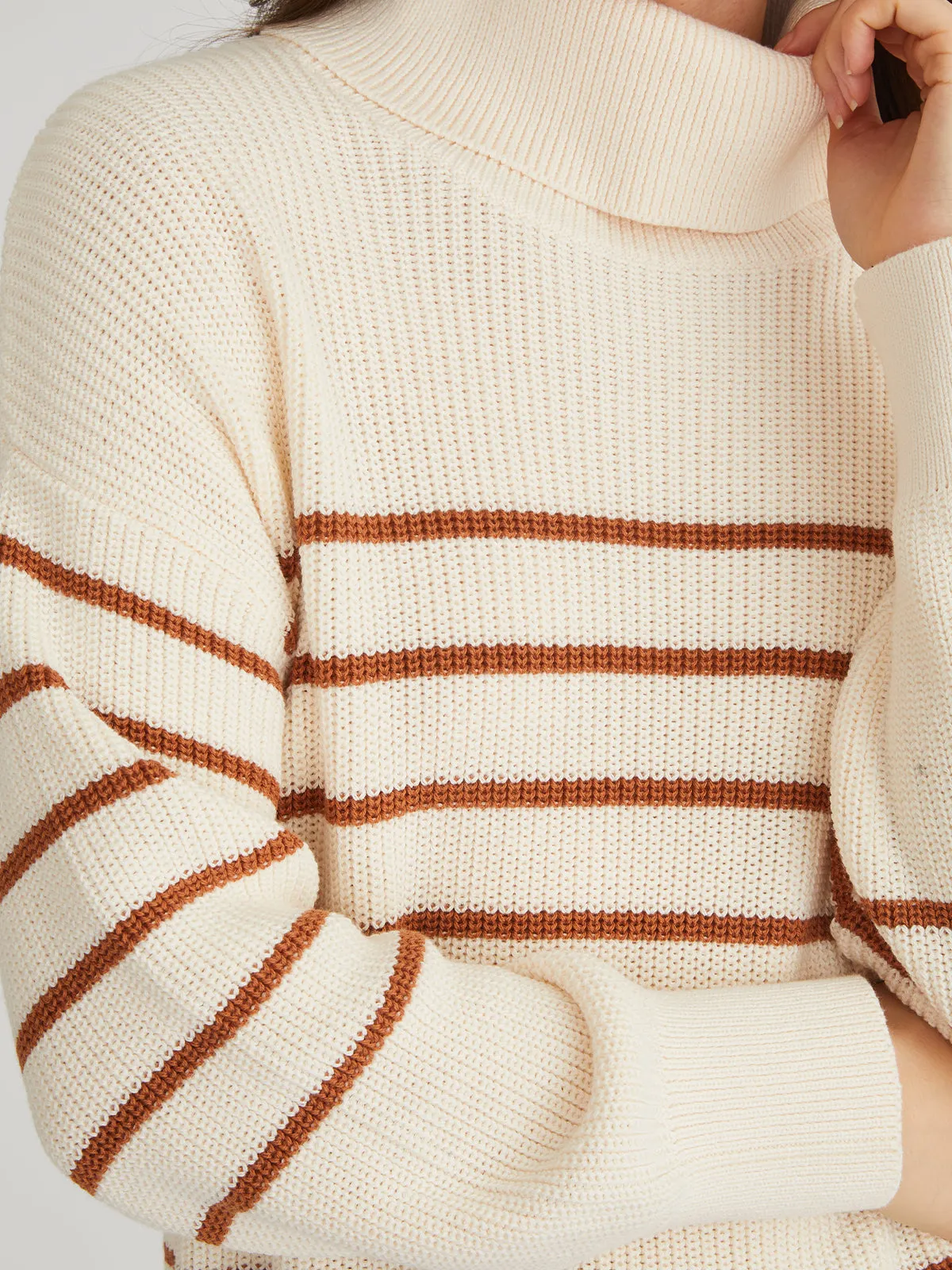 Elise: Oversize Stripe Turtleneck Pullover