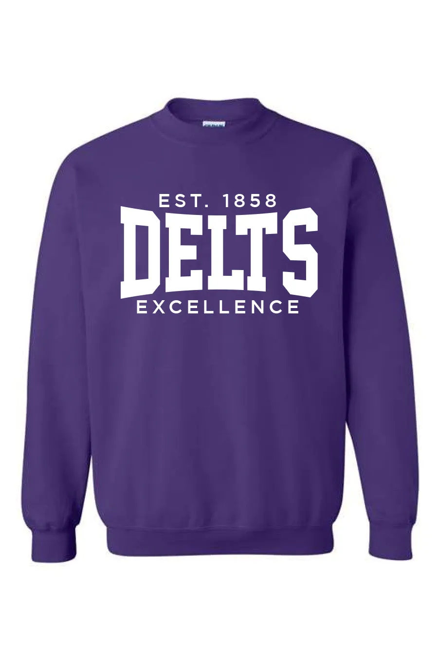 Established Excellence Crewneck