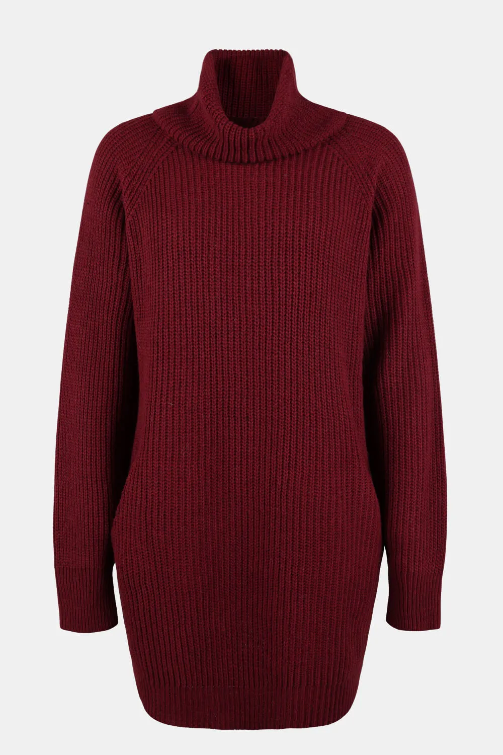 Lisa Turtleneck Sweater Dress with Pockets