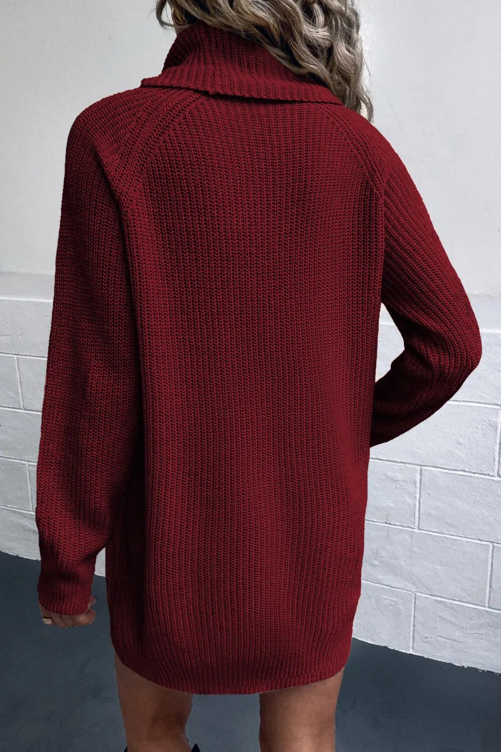 Lisa Turtleneck Sweater Dress with Pockets
