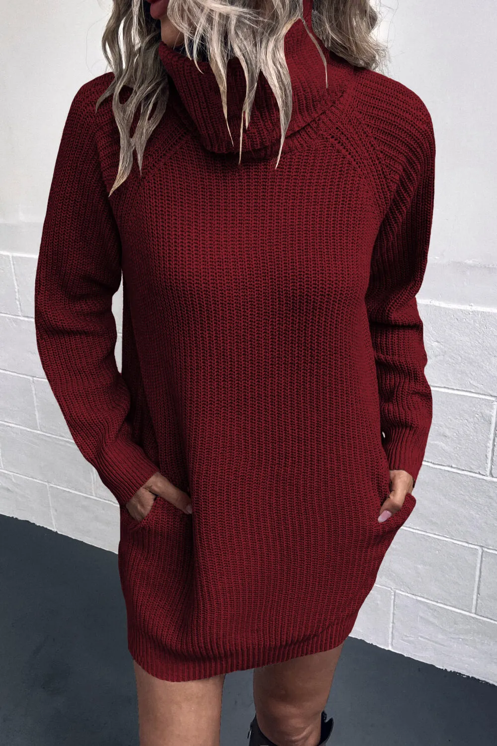 Lisa Turtleneck Sweater Dress with Pockets