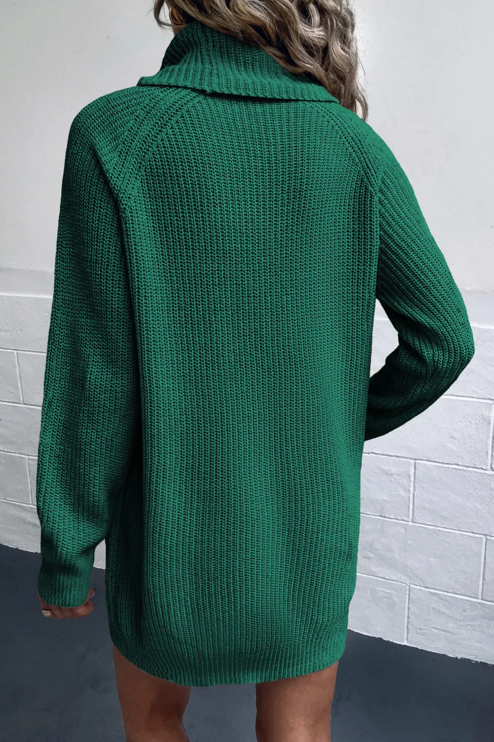 Lisa Turtleneck Sweater Dress with Pockets