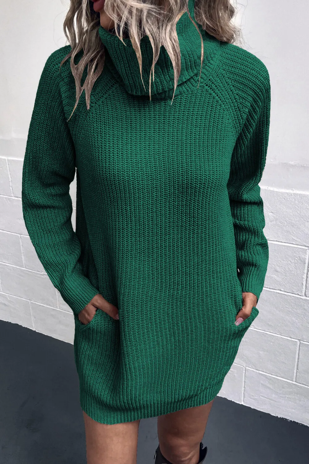 Lisa Turtleneck Sweater Dress with Pockets