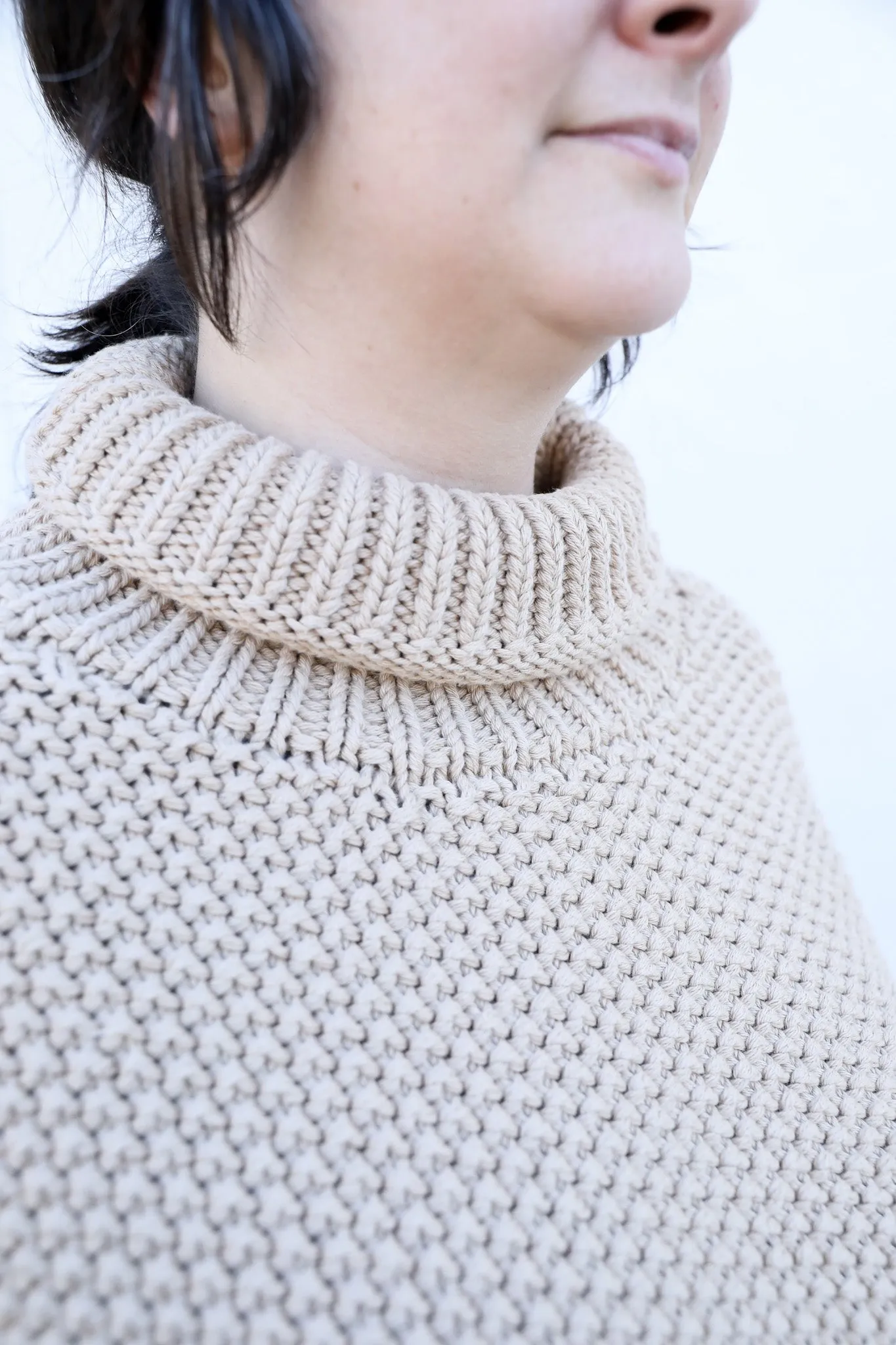 Micaela Greg Roll Neck Sweater