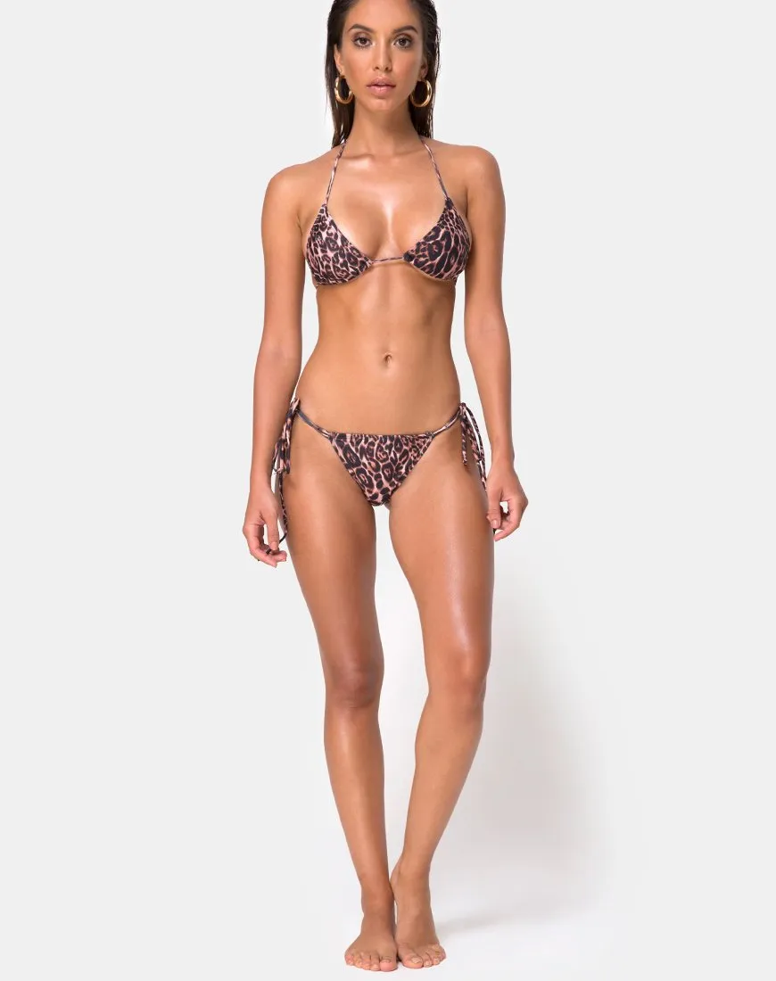 Monet Bikini Top in Magic leopard