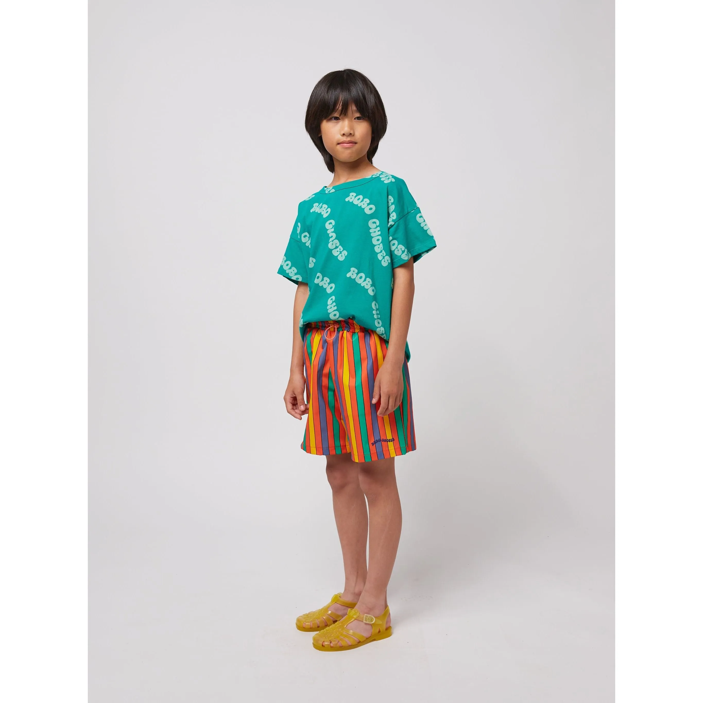 Multicolor Stripes Swim Board Shorts