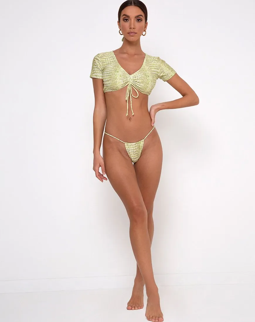 Nachi Bikini Top in Croc Green