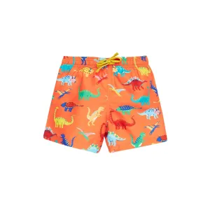 Salamander Dino-Roar! Boscastle Board Shorts
