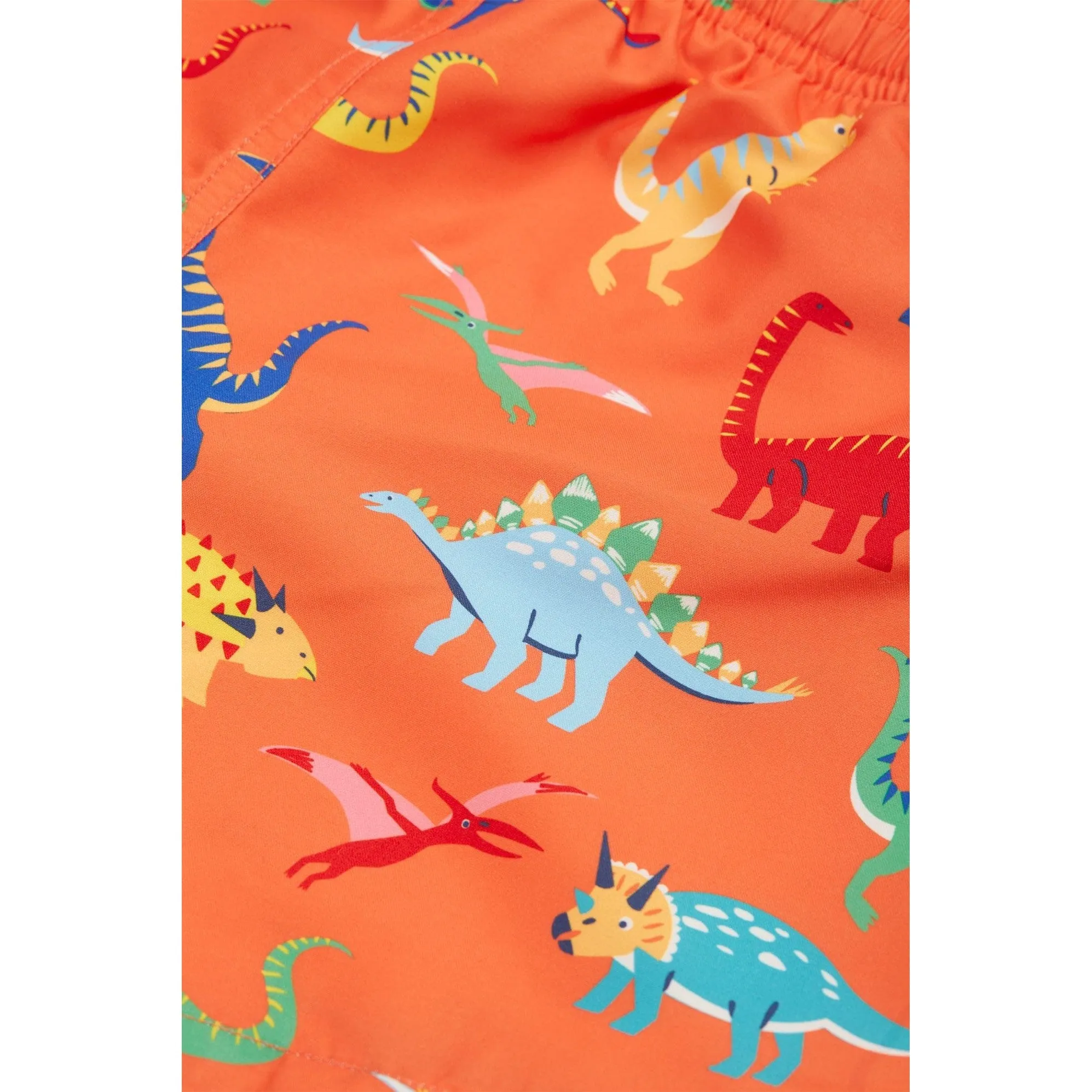 Salamander Dino-Roar! Boscastle Board Shorts