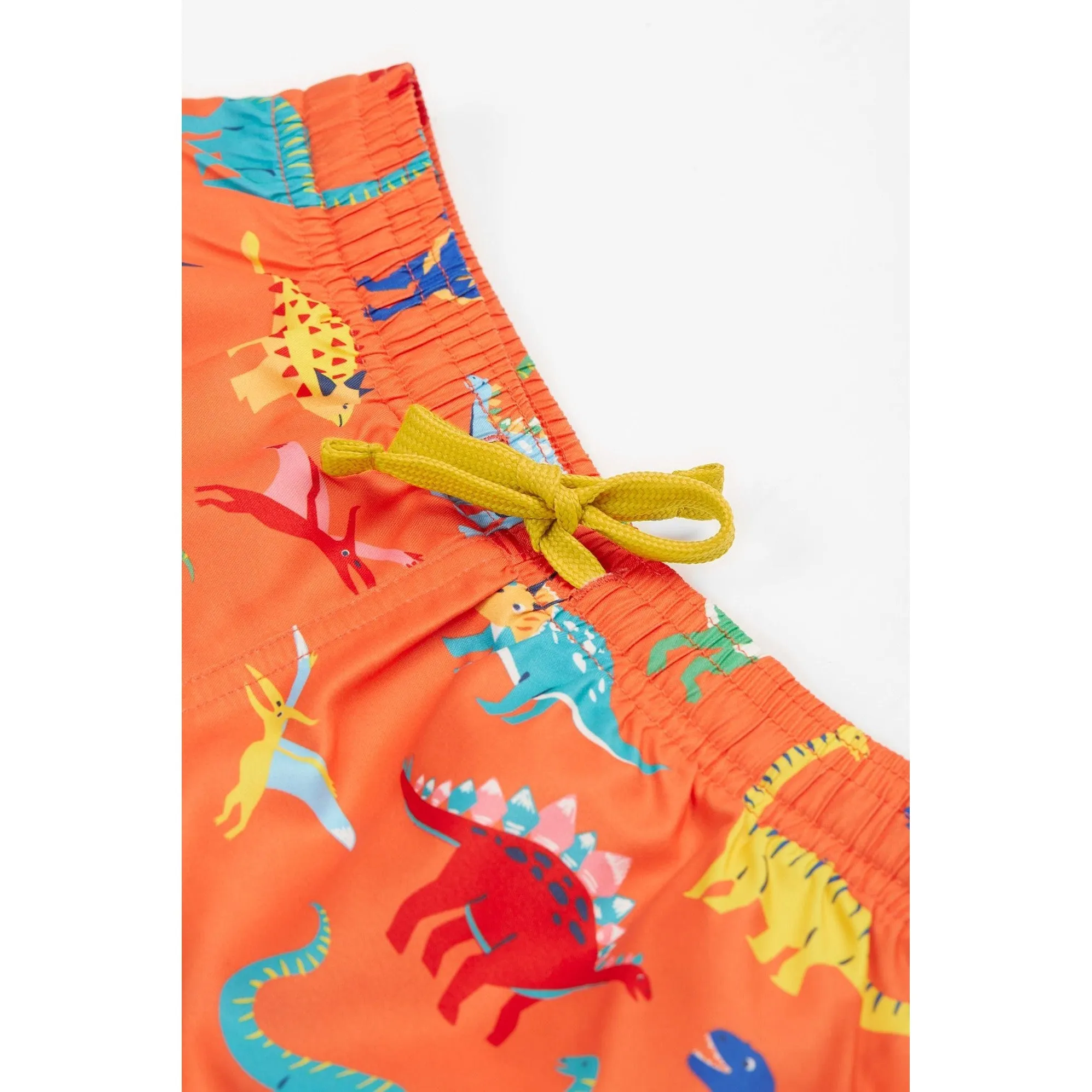 Salamander Dino-Roar! Boscastle Board Shorts
