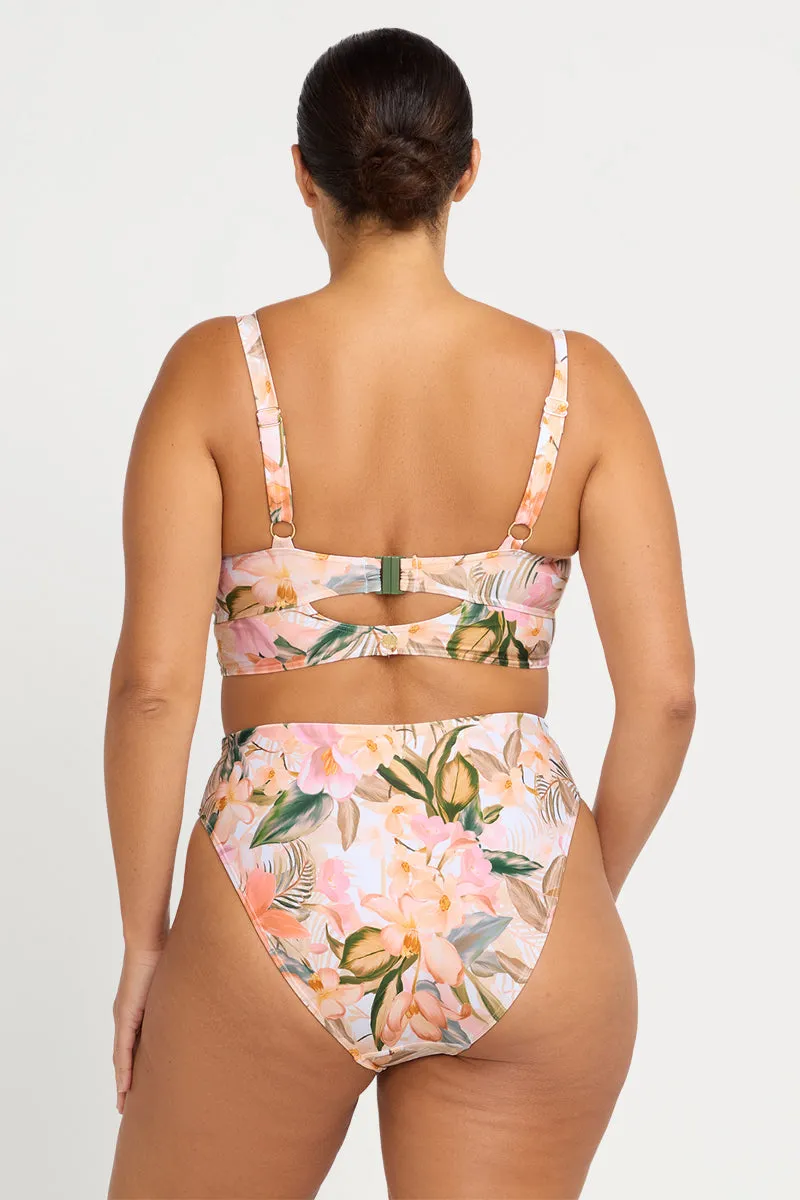 Ti'tania Richter High Waist Swim Pant